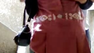 厚厚的蕩婦顯示大山雀