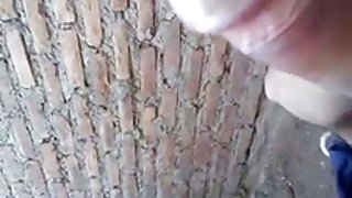 薩莎決定同時處理三匹種馬的成員。