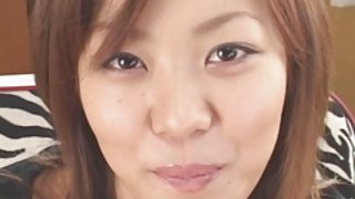 那傢伙隨心所欲地變成了一隻小型小雞